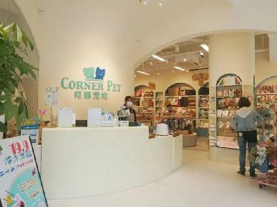 中國國際寵物水族用品展覽會(huì) 最新動(dòng)態(tài)與專業(yè)服務(wù)全面解讀